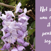 Pensiero sognante(1)
